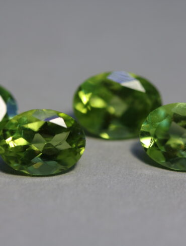 Гранат гросулар - лот 4 бр.